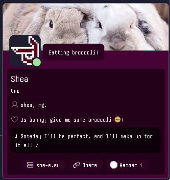 my matrix user hero, a banner of 2 bunnies, my 'Love' pfp, username Shea, handle @nu, pronouns shea and mg., timezone Antarctica/Troll, animal identity Bunny that wants to be given broccoli, bio Someday I'll be perfect and I'll make up for it all, homeserver she-a.eu